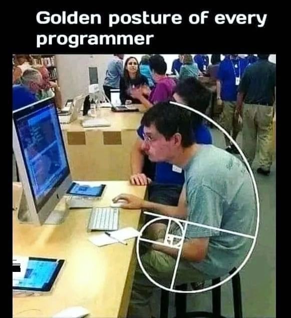 Perfect programmer posure